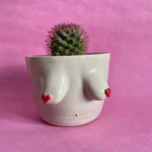 Load image into Gallery viewer, Ceramic Boob Planter 7x9cm
